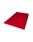 Skalbiamas vonios kilimėlis Topia Red